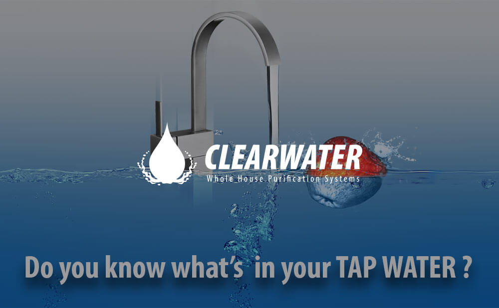 clear water ni WordPress website design