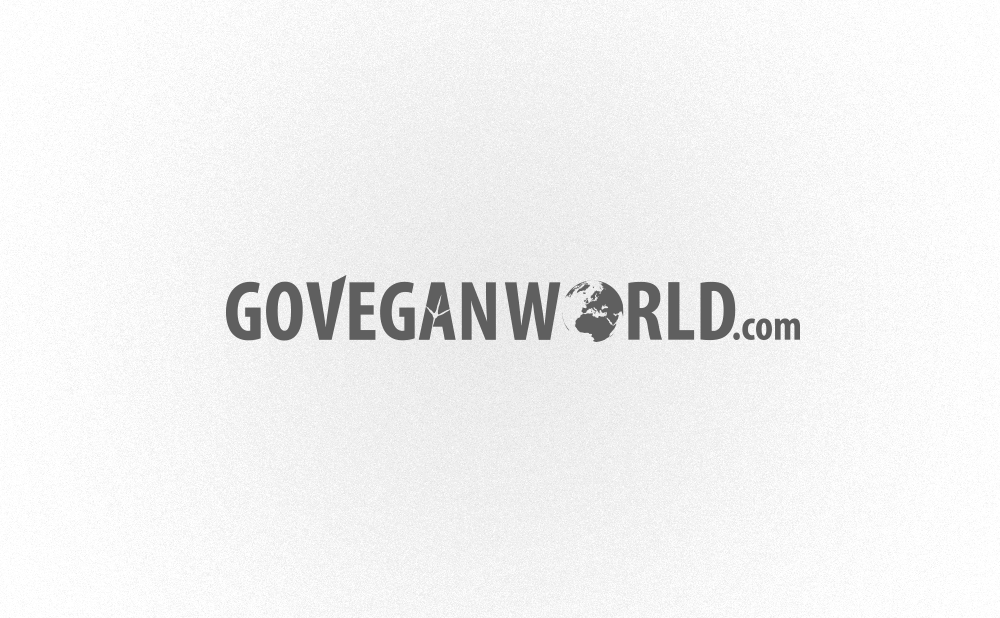 logo design go vegan world